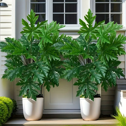 Planta decorativa para interior e exterior mamão papaya