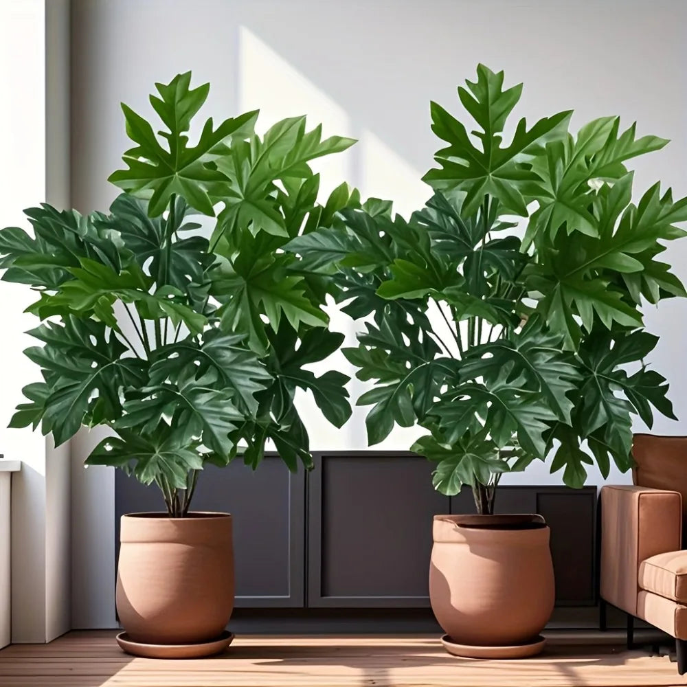 Planta decorativa para interior e exterior mamão papaya